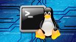 LPIC-1 Linux-Bootcamp - In 30 Tagen zum Linux-Admin
