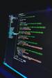 Wordpress-Entwicklung