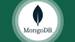 Der komplette MongoDB Kurs: Vom Einsteiger zum Profi